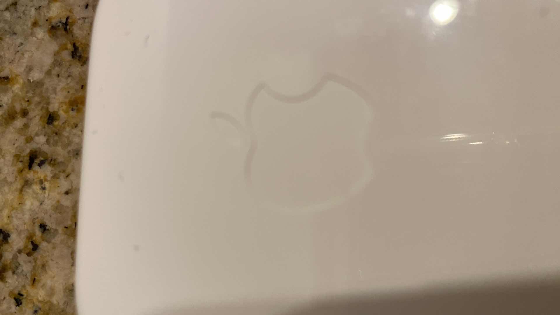 Photo 3 of 2-APPLE iPHONE OEM WIRED EARPODS EARPHONES