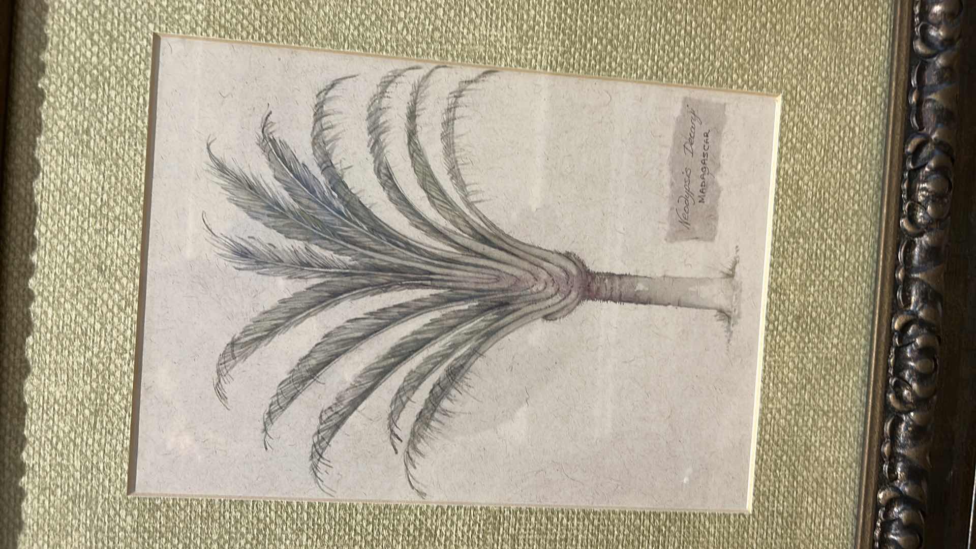 Photo 1 of 2 MADIGASCAR PALM TREE FRAMED ARTWORK 15 1/4” x 18 1/4"