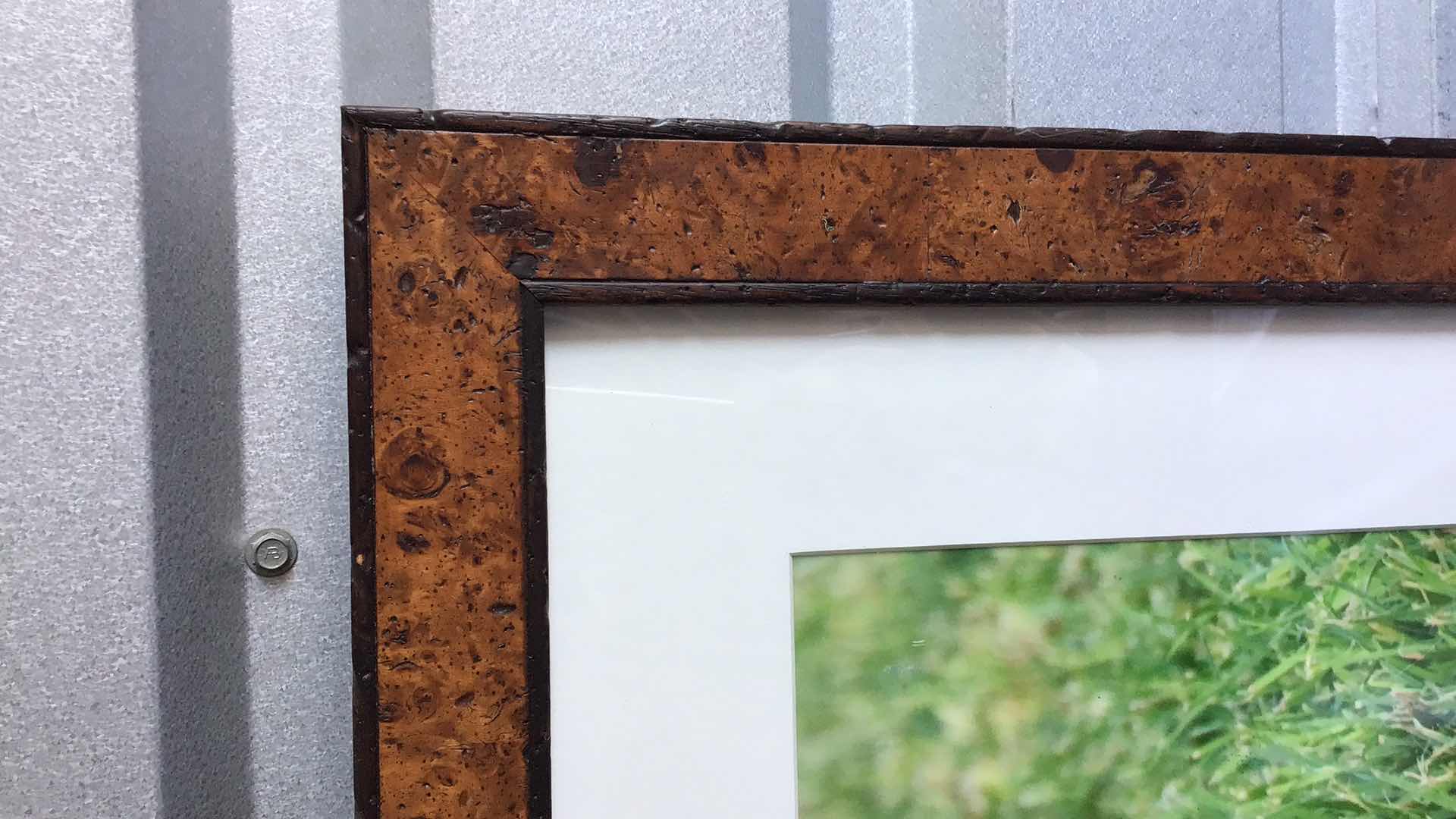 Photo 1 of BEAUTIFUL PHOTOGRAPH AND FRAME 2 BIRDS IN GRASS 22” X 20”