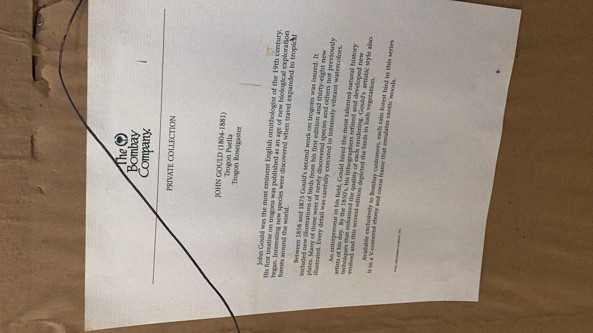 Photo 1 of VINTAGE TROGON PUELLA BY JOHN GOULD PRINT 18” X H 23”