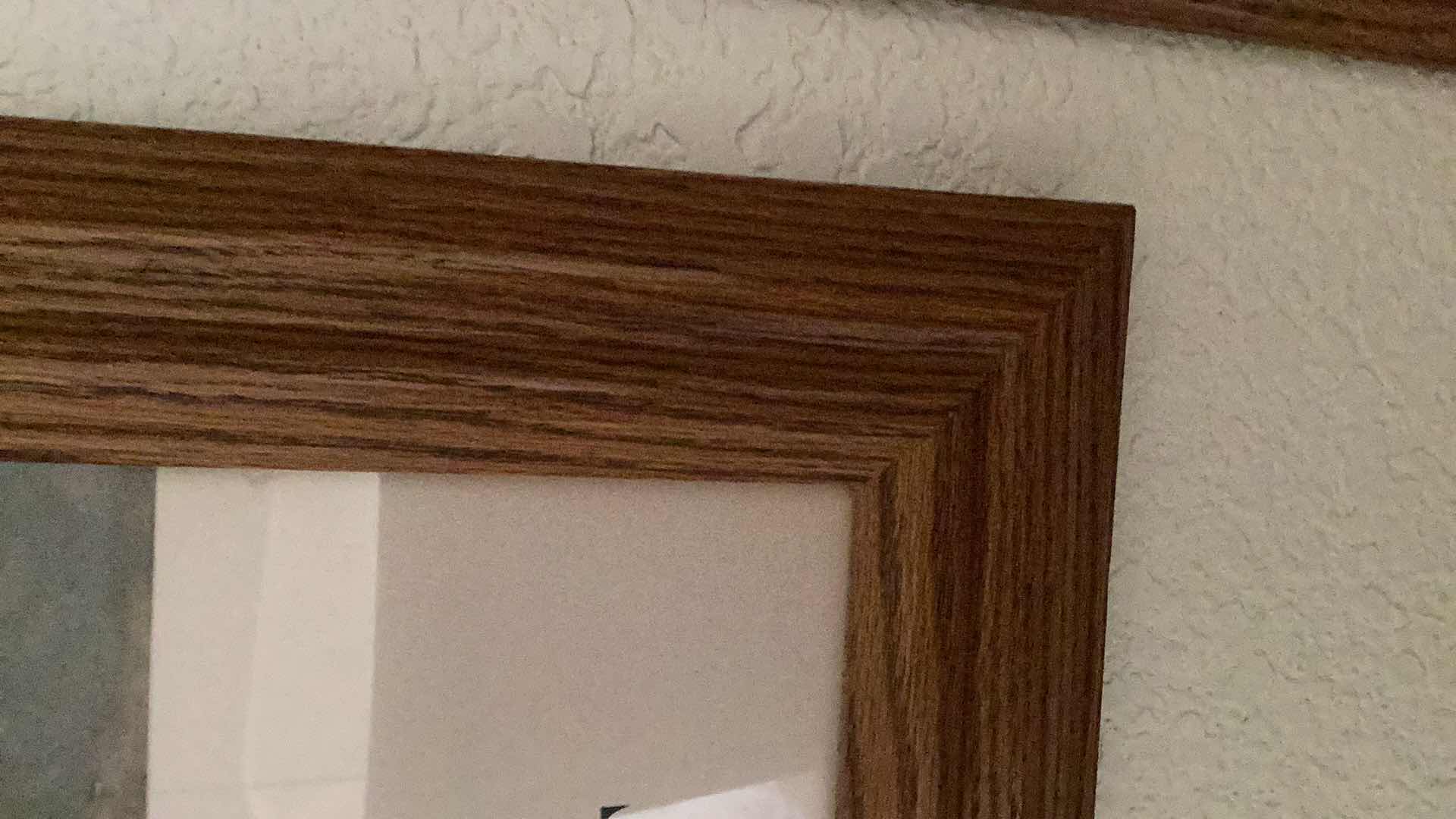 Photo 1 of DIEGO RIVERA “THE FLOWER CARRIER” SAN FRANCISCO MUSEUM OF MODERN ART PRINT 30” X H 34”