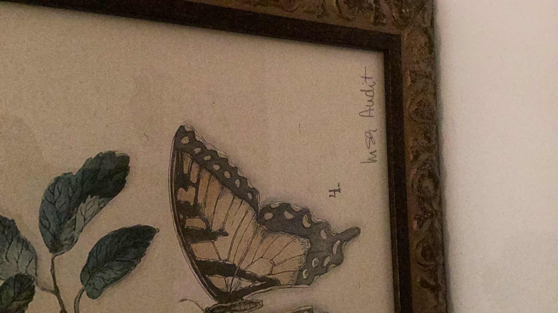 Photo 1 of HOME INTERIORS FRAMED BUTTERFLY AND DRAGONFLY PRINT 24” X H 28”