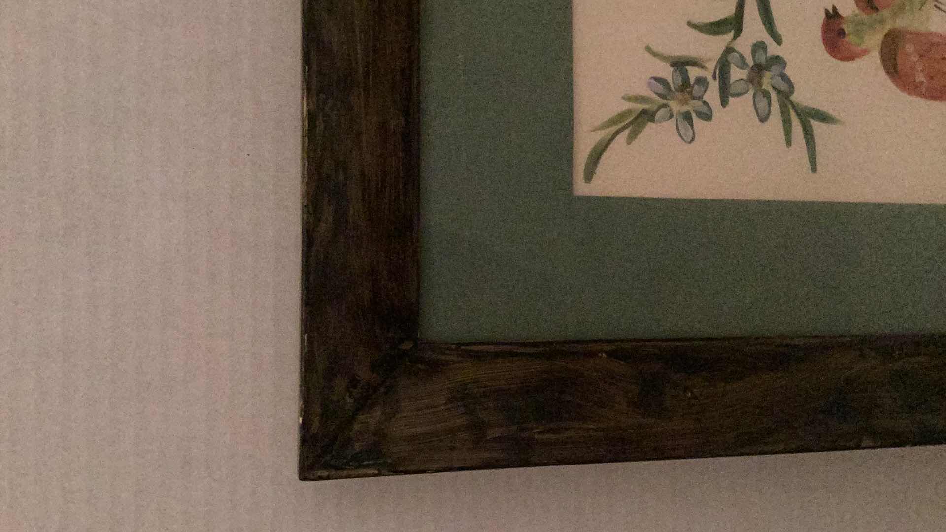 Photo 1 of VINTAGE LA FUERA BIRD PRINT 18” X H 21”