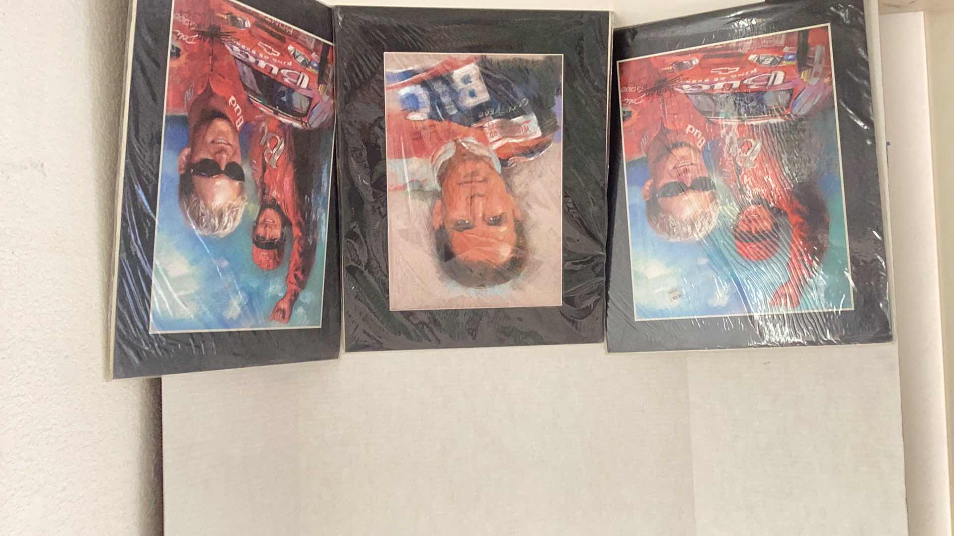 Photo 1 of THREE NASCAR STARS  HAIYAN PRINTS 16” X H 20”