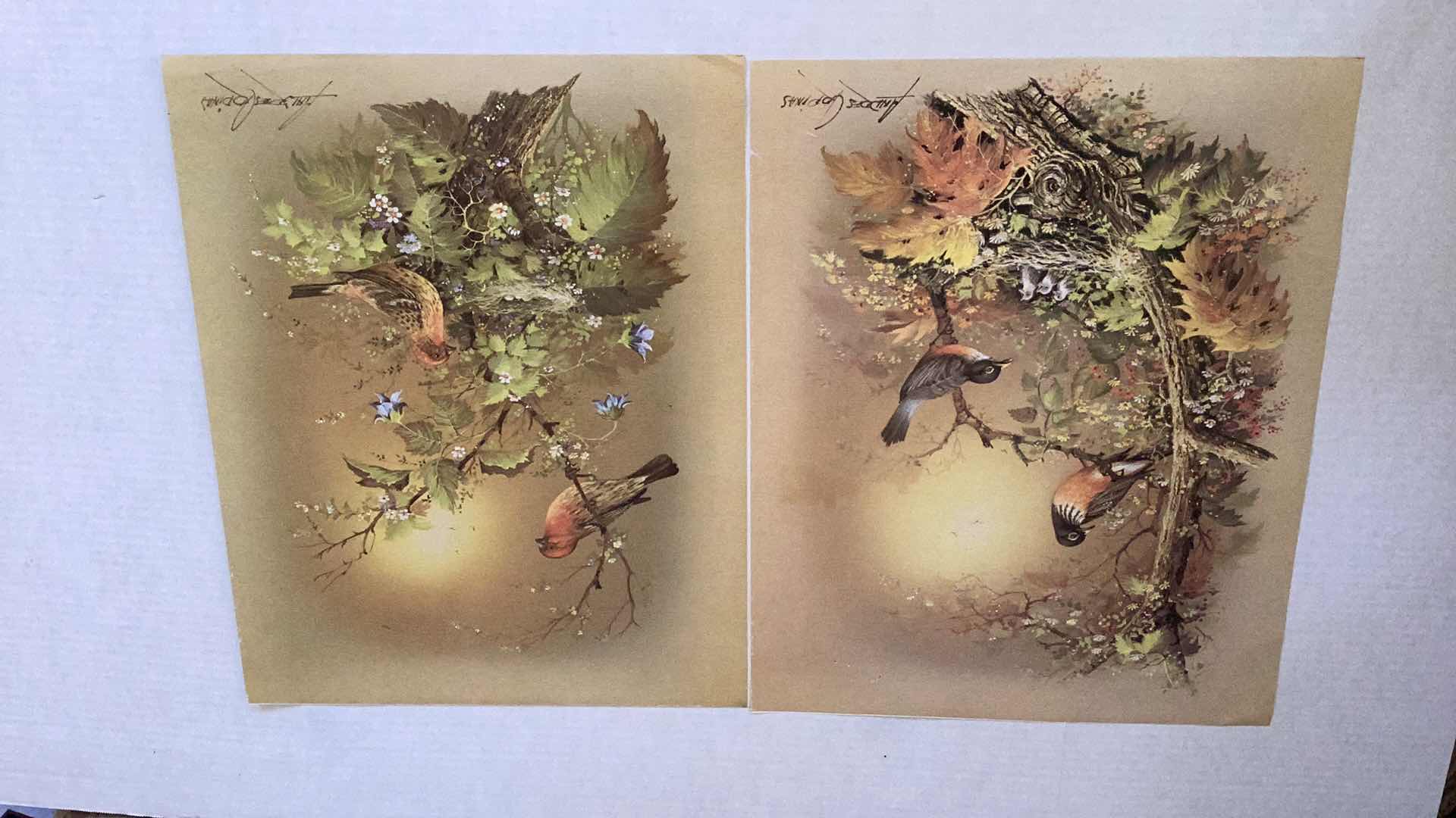 Photo 1 of TWO ANDRES COPINAS BIRD PRINTS 16” XH 20”