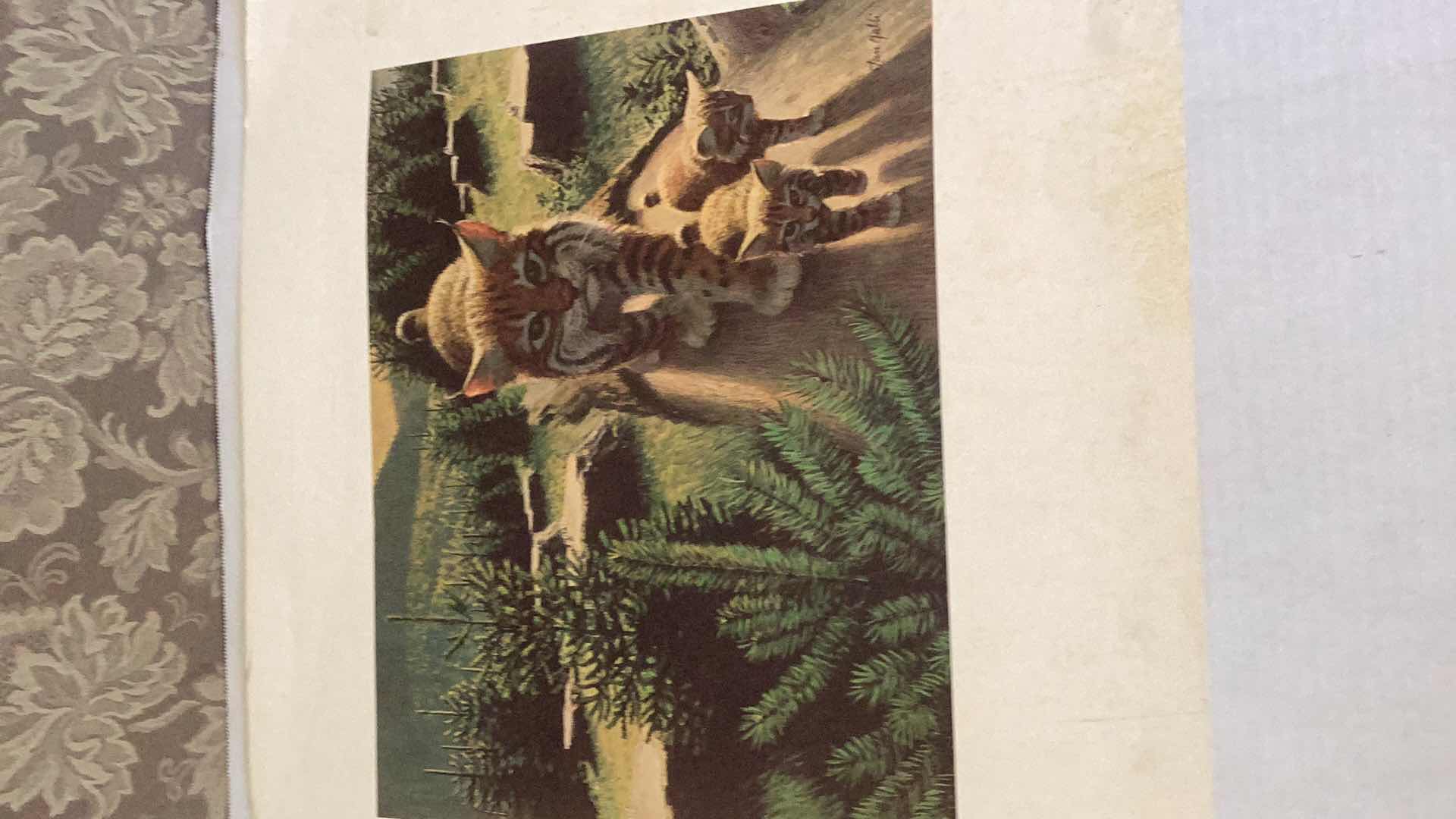 Photo 1 of TWO ANIMAL PRINTS 23” X H 20”