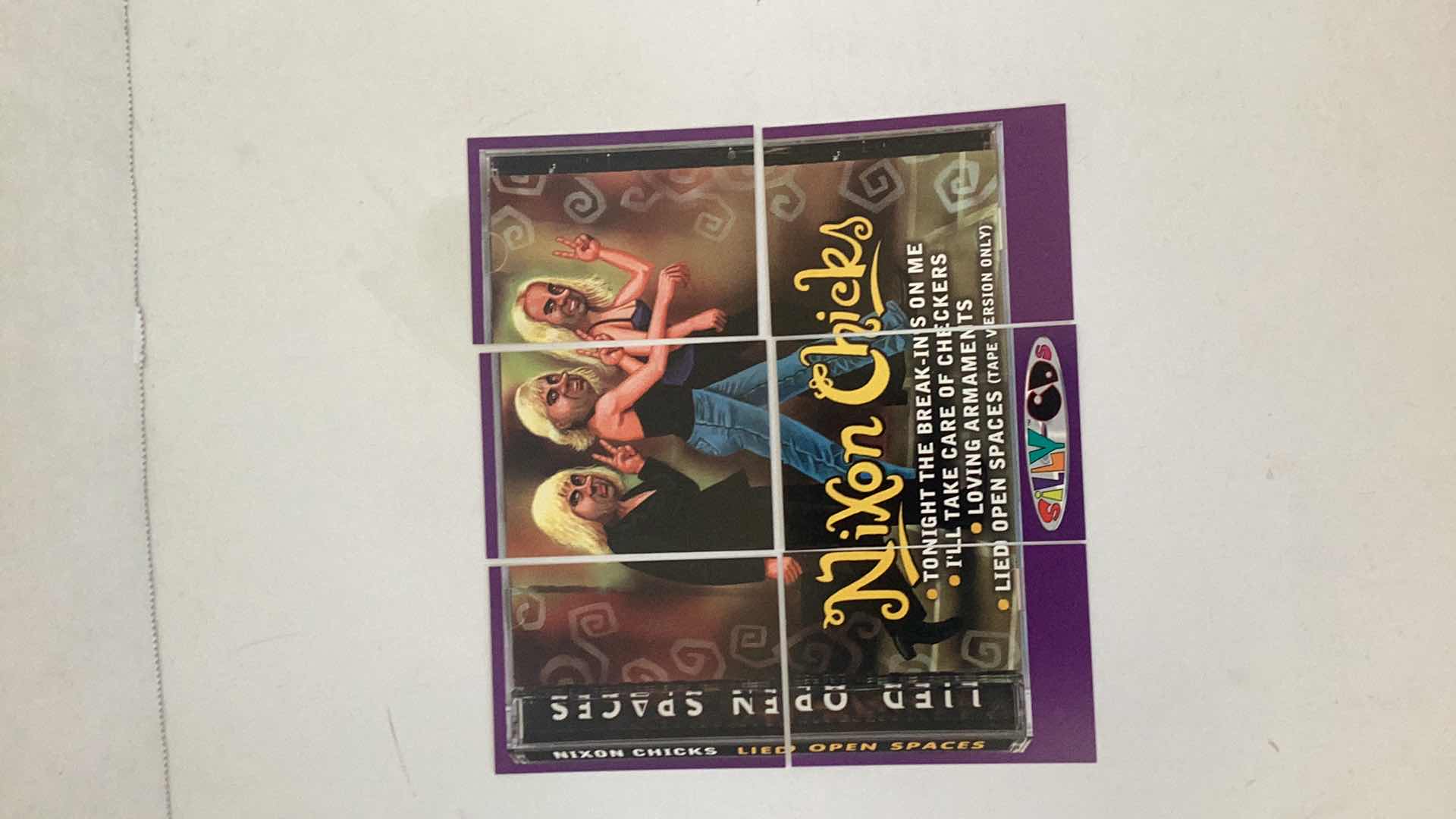 Photo 1 of SILLY CDS 2001 NIXON CHICKS LIED OPEN SPACES PUZZLE COMPLETE