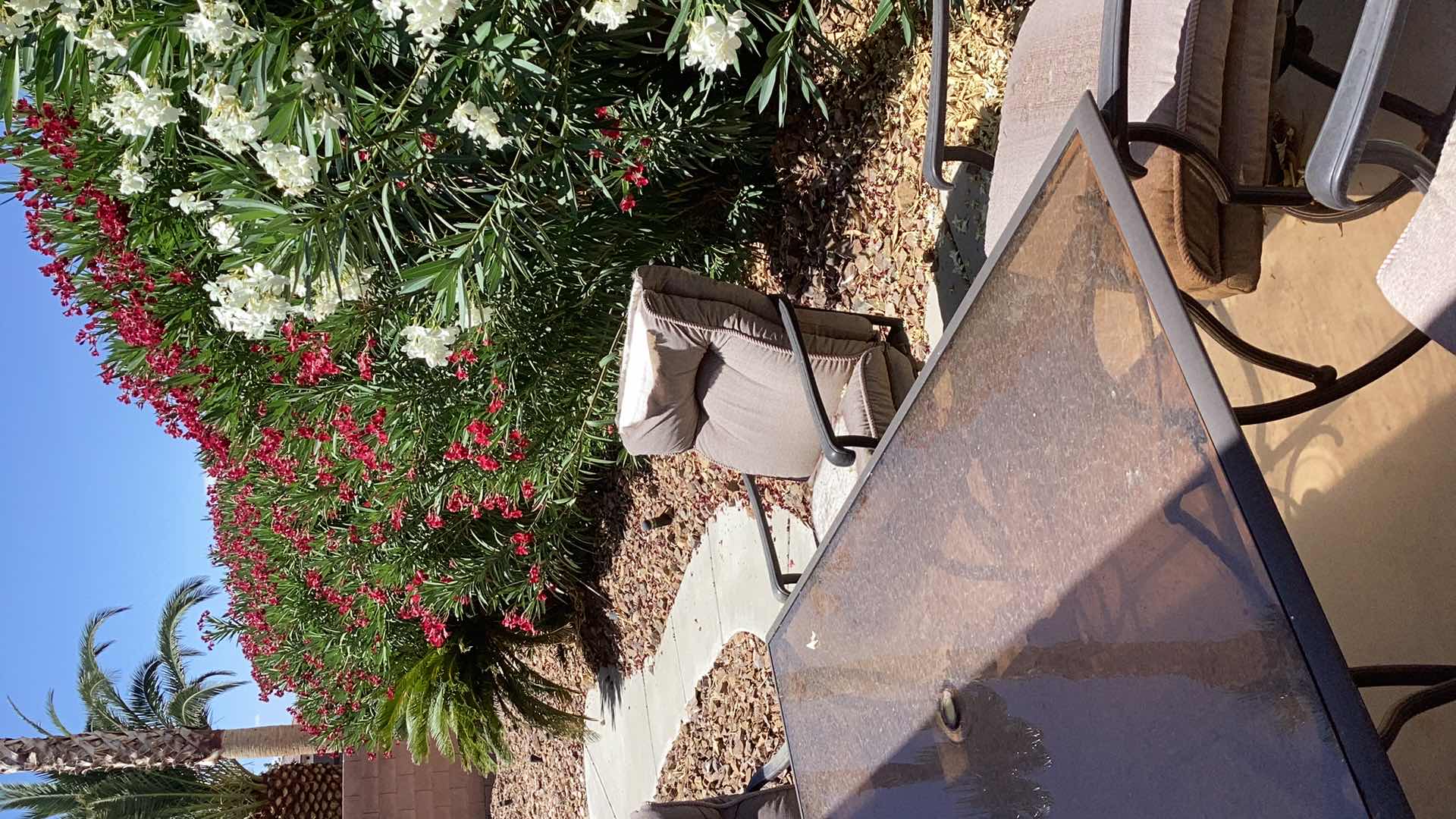 Photo 1 of OUTDOOR PATIO FURNITURE, NEEDS UPHOLSTERY WORK