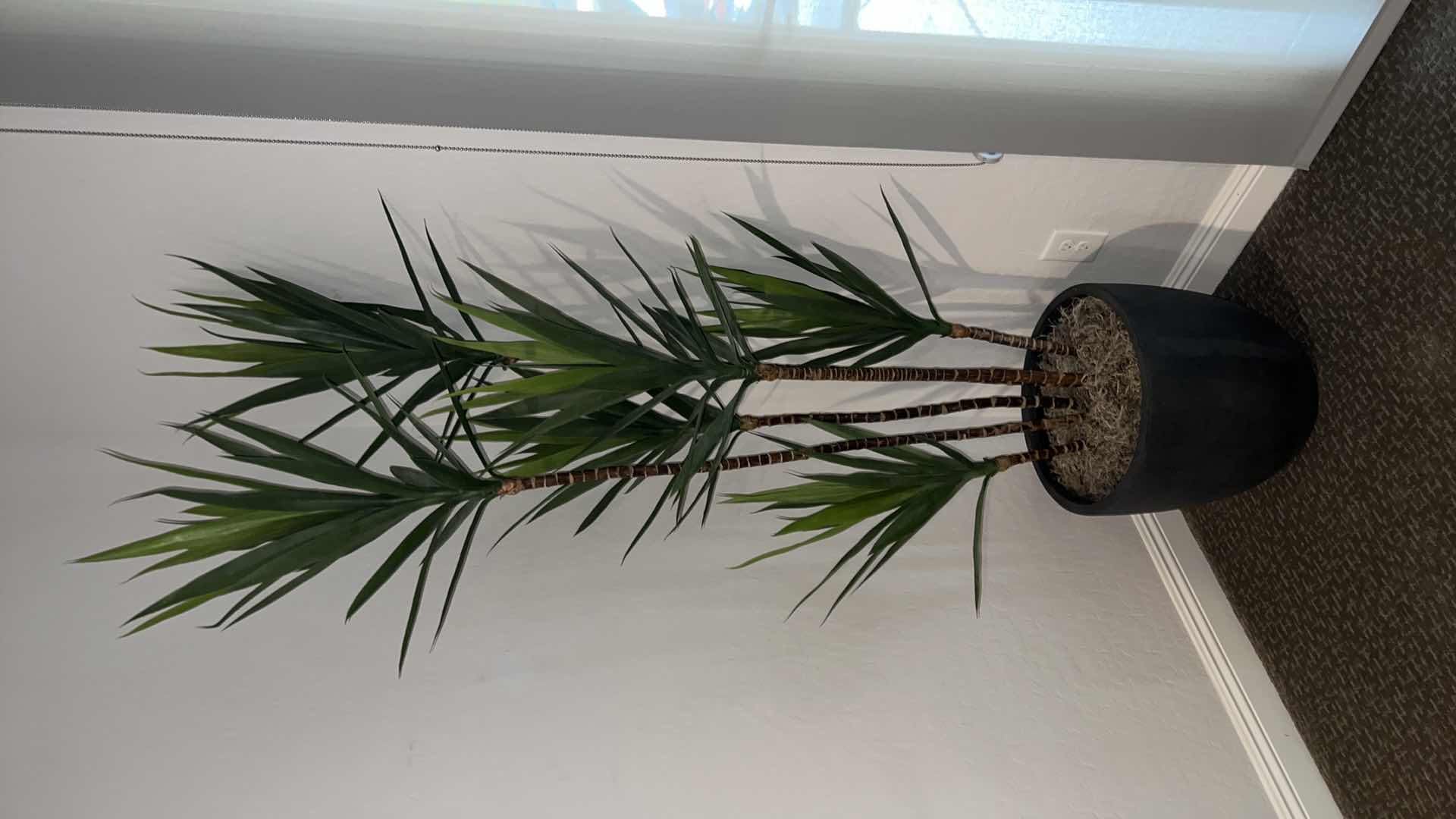 Photo 1 of FAUX TREE IN GREY CERAMIC POT H7’