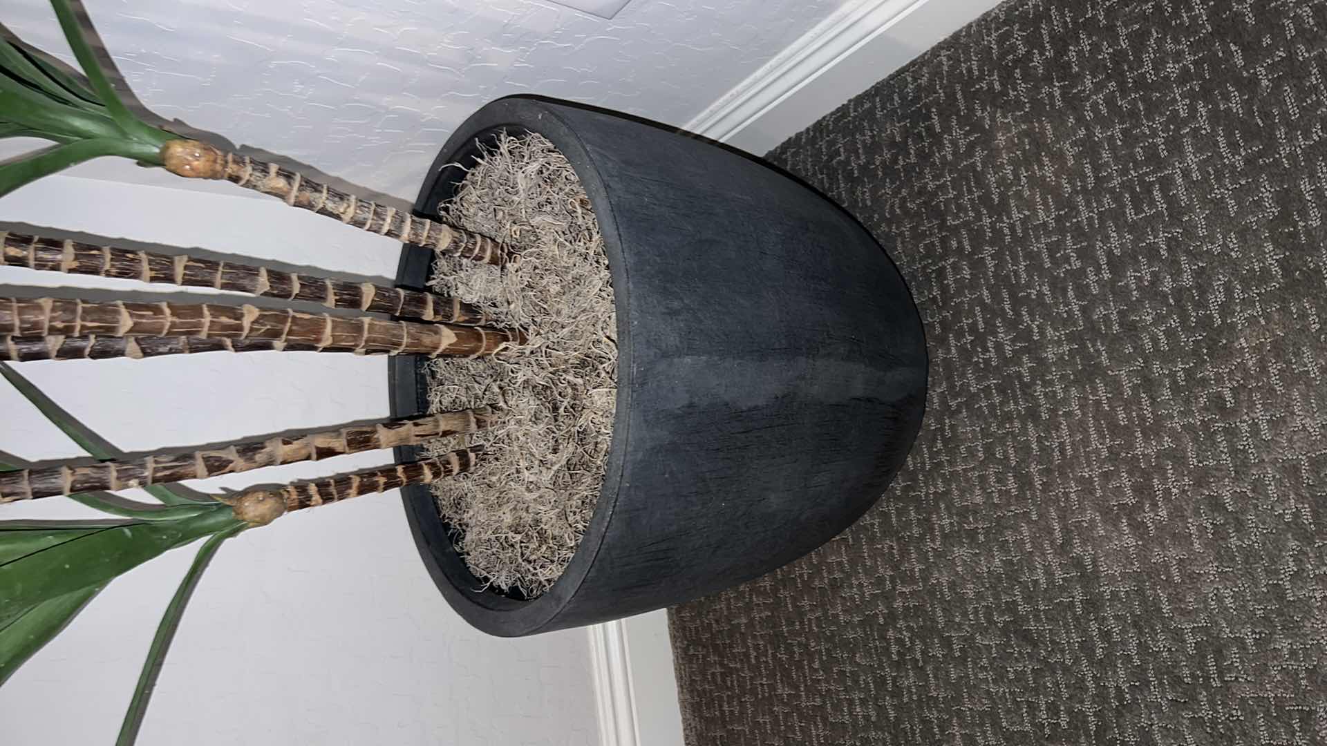 Photo 1 of FAUX TREE IN GREY CERAMIC POT H7’