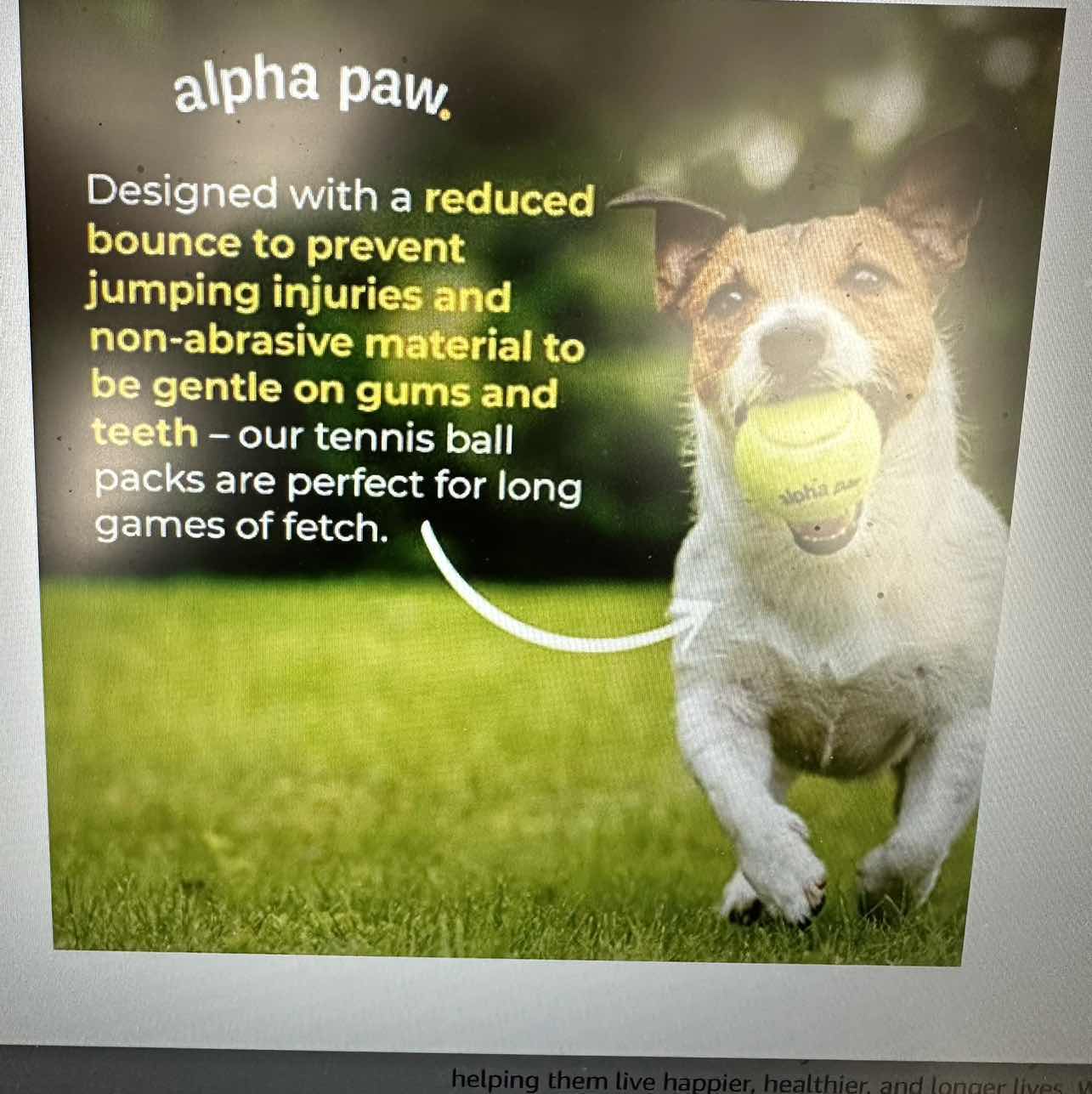 Photo 1 of 2 SETS OF 4- ALPHA PAW DOG TENNIS BALLS