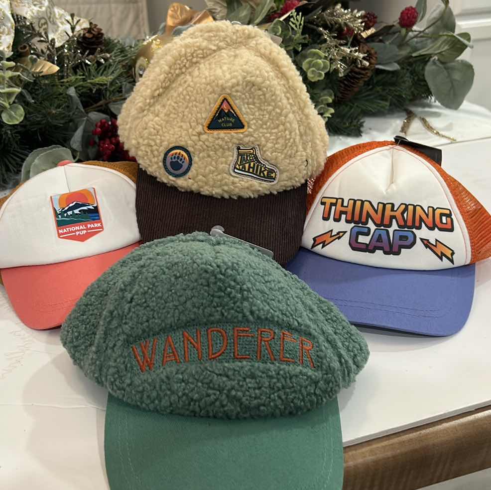 Photo 1 of 4 DOG CAPS / HATS