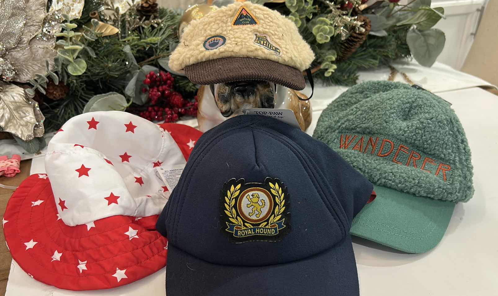 Photo 1 of 4 DOG CAPS / HATS