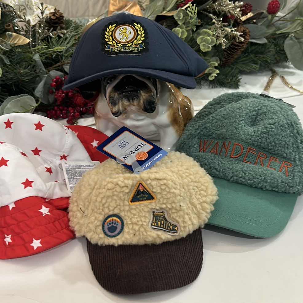 Photo 1 of 4 DOG CAPS / HATS