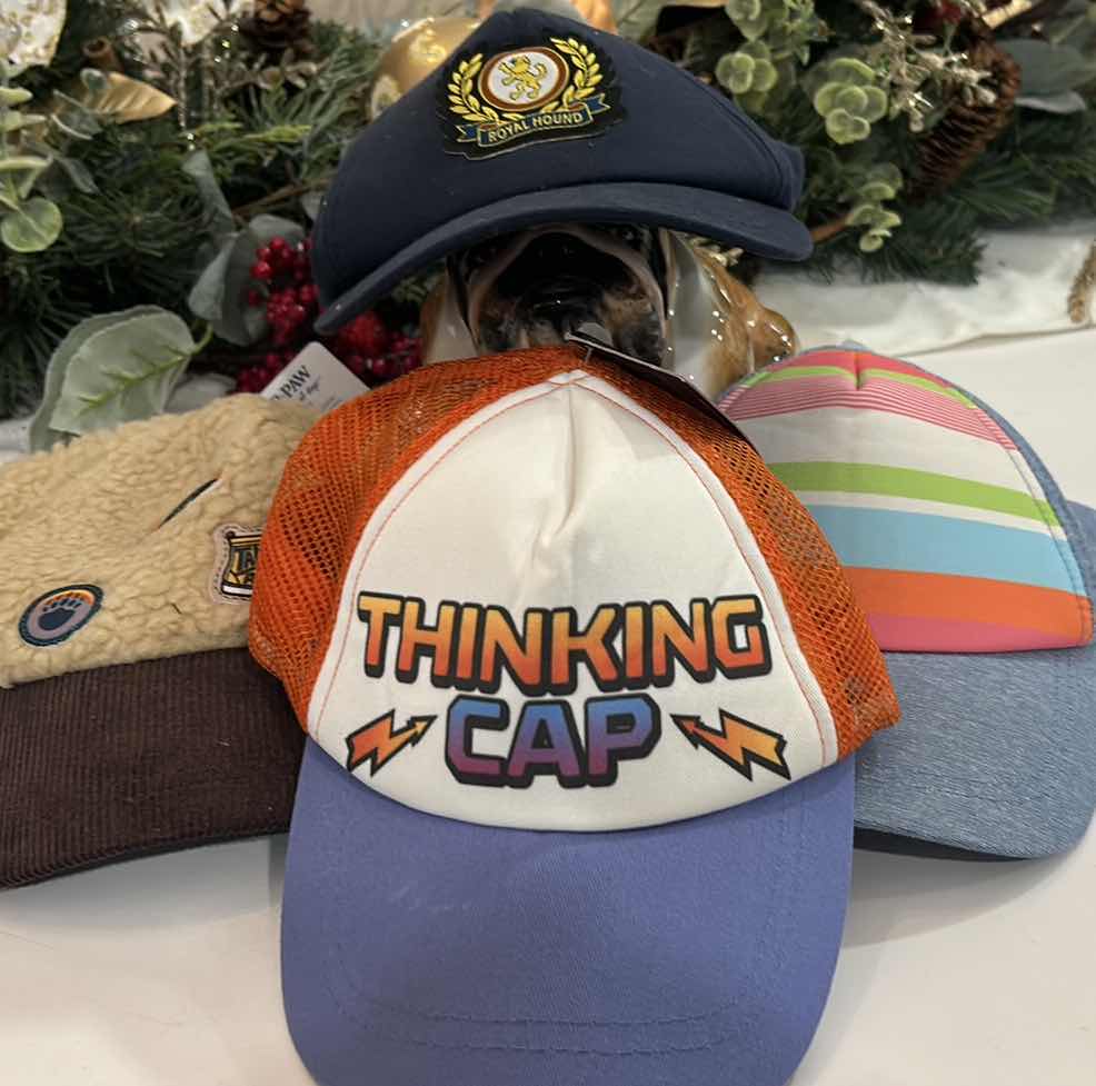 Photo 1 of 4 DOG CAPS / HATS