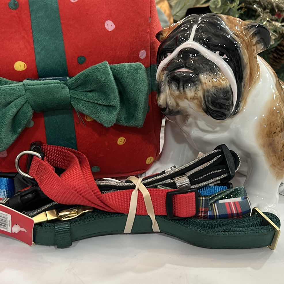 Photo 1 of 4 NEW DOG COLLARS SIZE MED