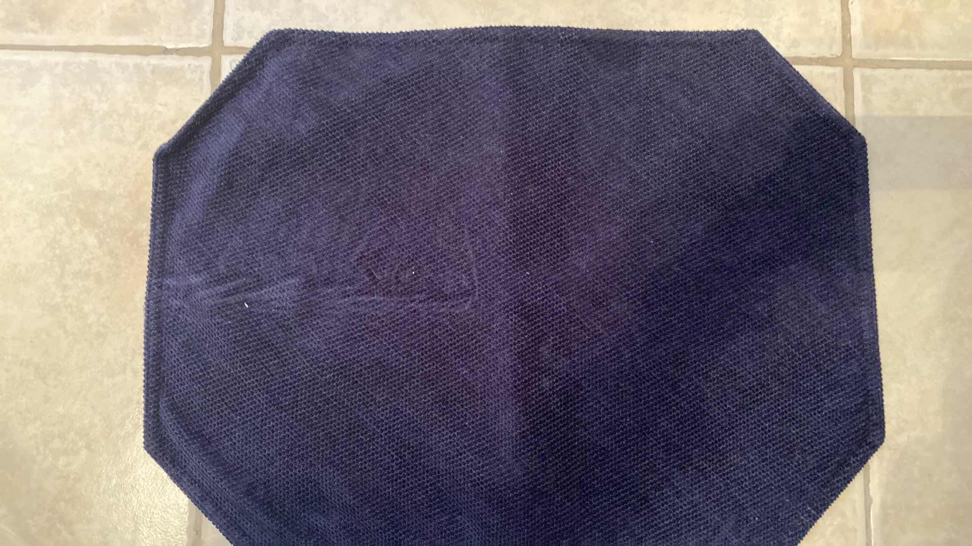 Photo 1 of 6 BLUE PLACEMATS