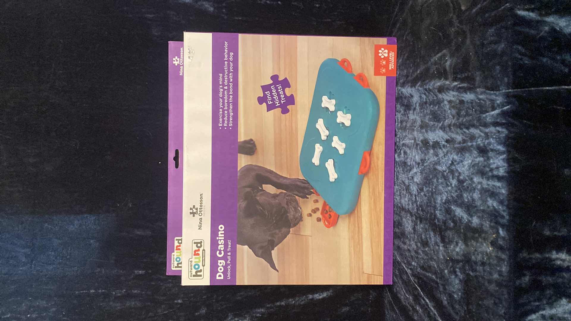 Photo 1 of HOUND DOG CASINO