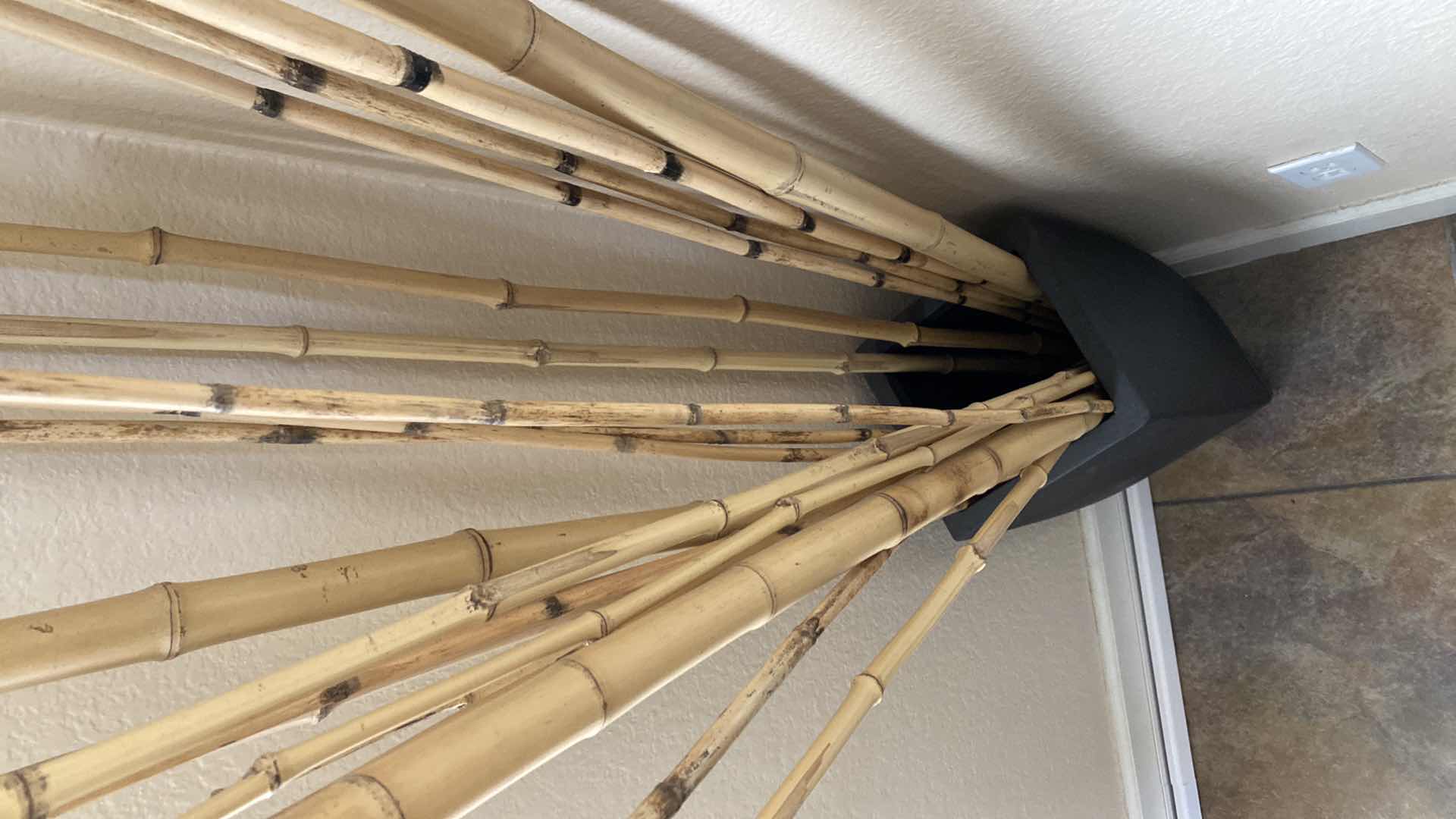 Photo 1 of VASE W BAMBOO STICKS