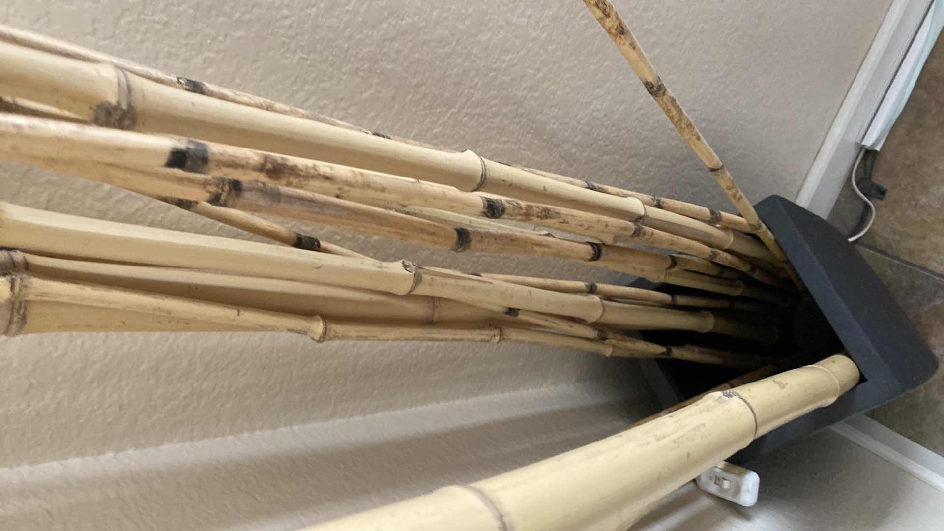 Photo 2 of VASE W BAMBOO STICKS