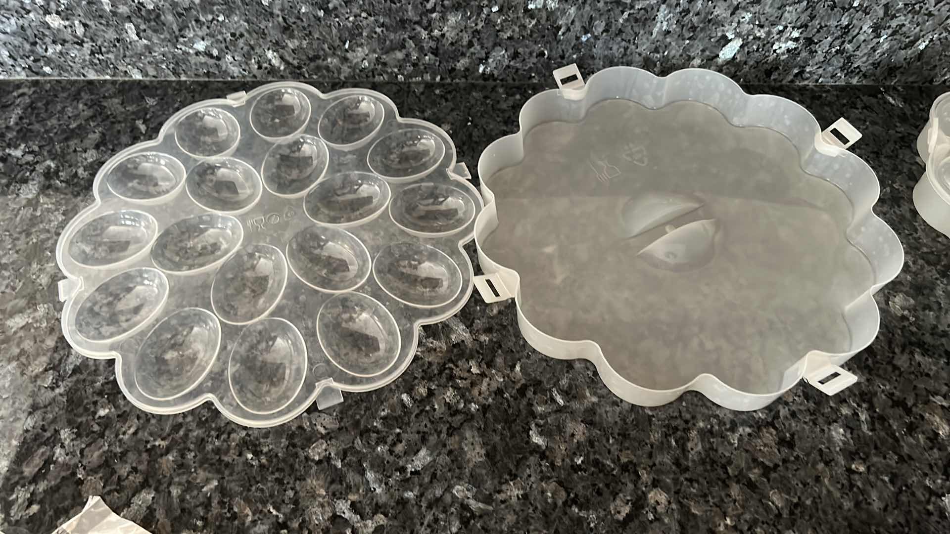 Photo 1 of PLASTIC DEVILED EGG STORAGE