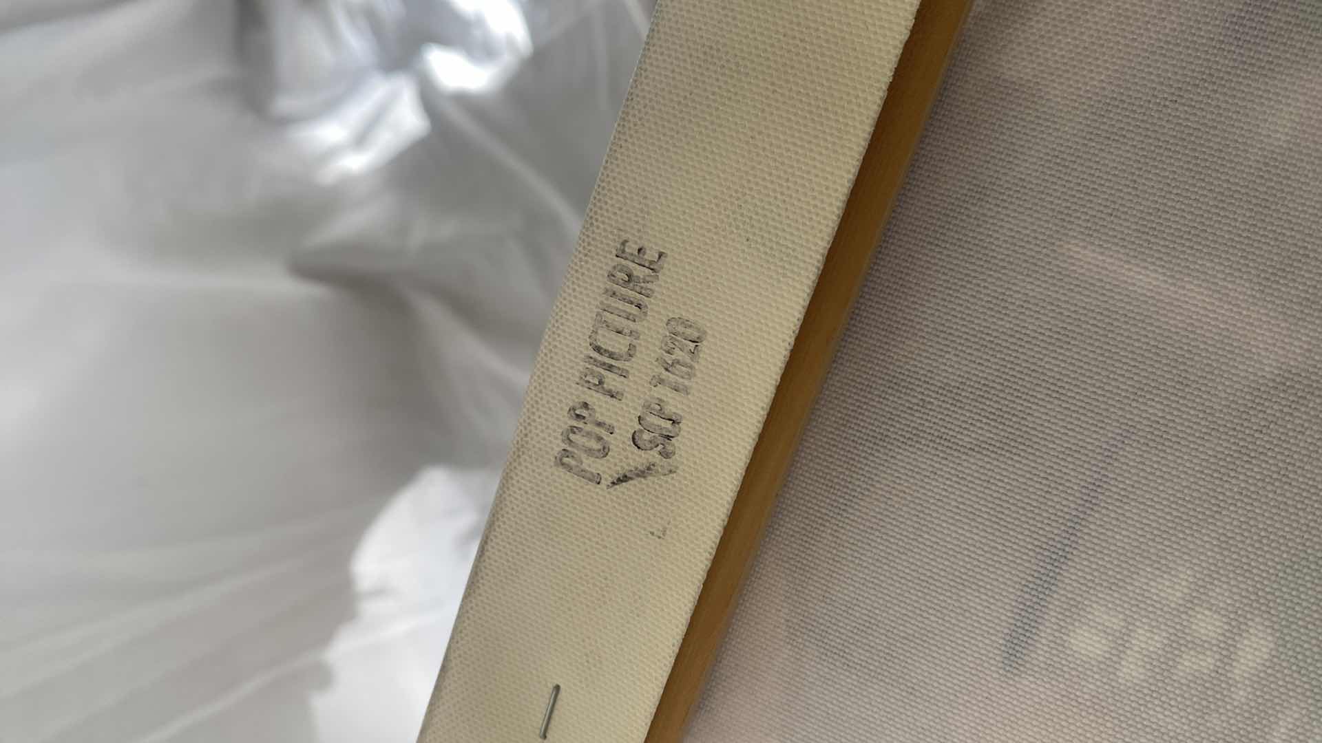 Photo 1 of 50 CENT CANVAS  PRINT BY HAIYAN MATTE  10 x 16