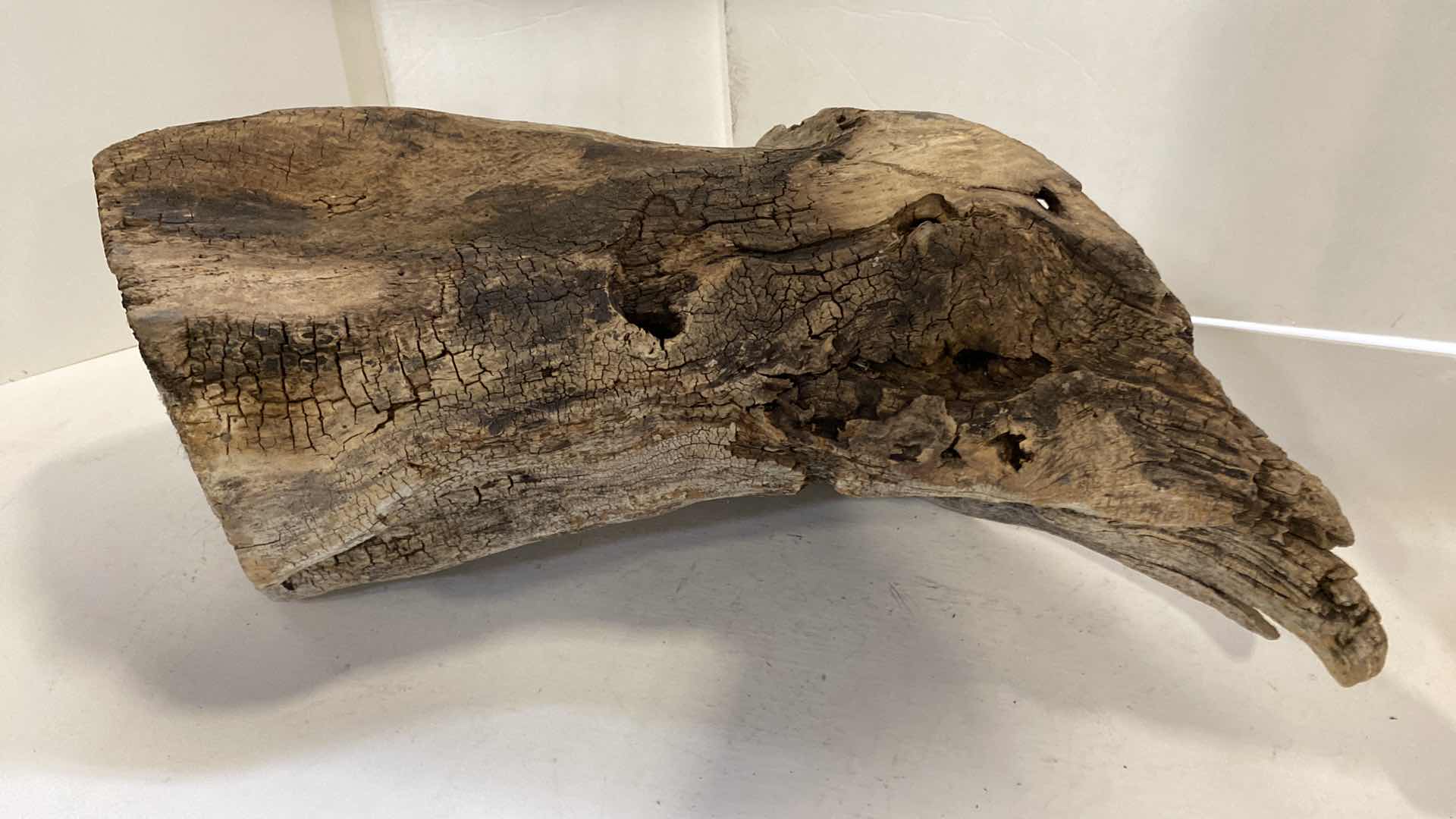 Photo 1 of DRIFTWOOD 24” X H8”