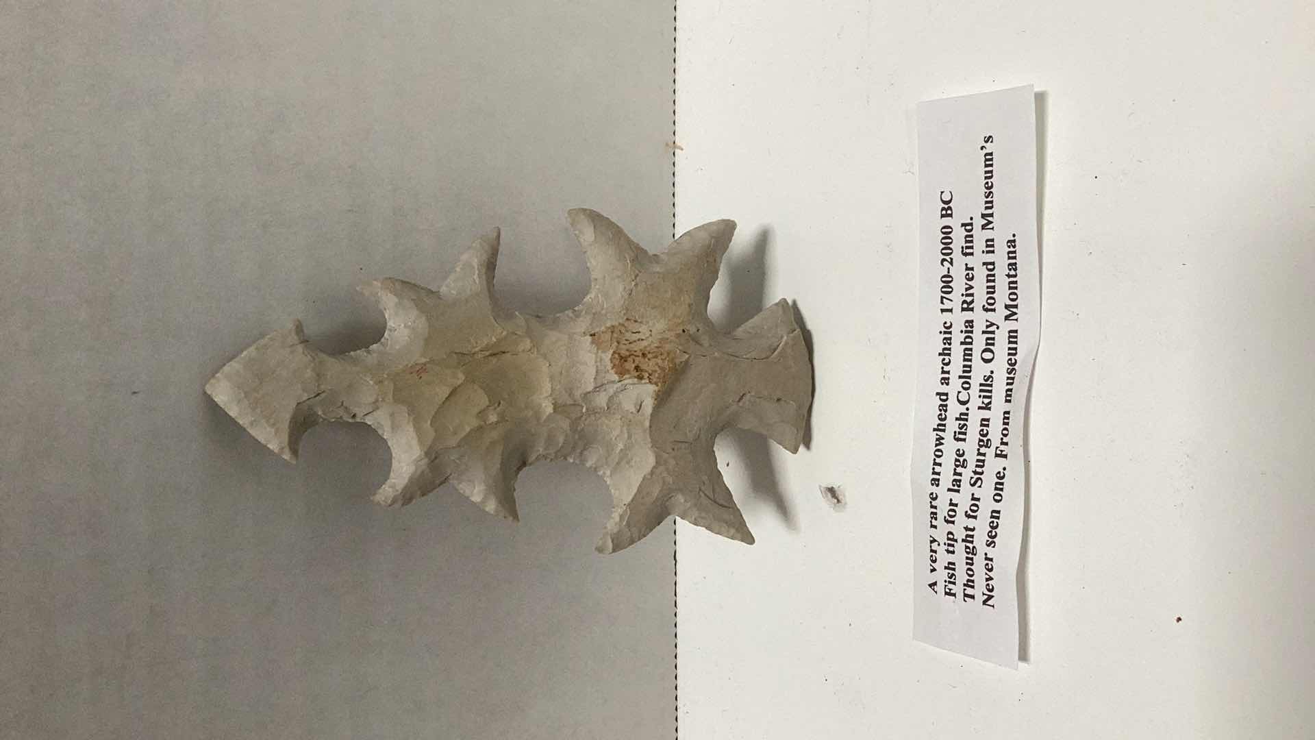 Photo 1 of RARE AMERICAN INDIAN CIRCA 1700-2000 B.C. FISH TIP ARROWHEAD 4”