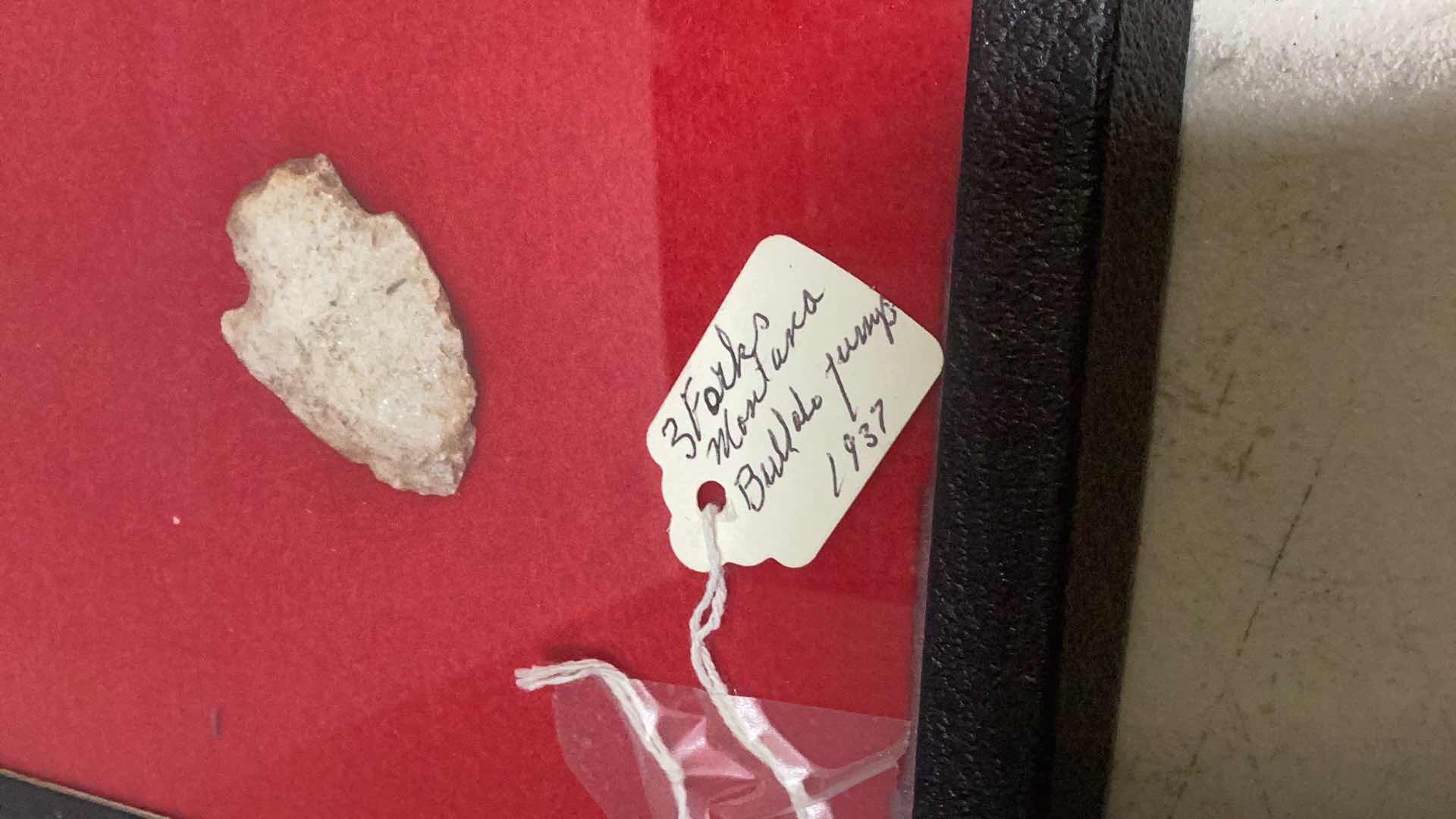 Photo 1 of VINTAGE MONTANA BUFFALO ARROWHEADS CASE 12” X 16”