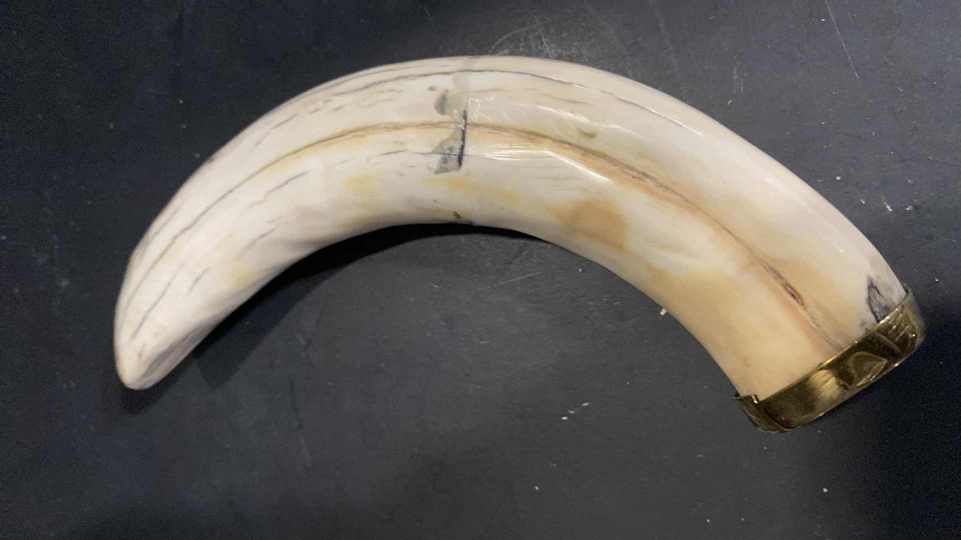 Photo 1 of 3-BOAR TUSKS