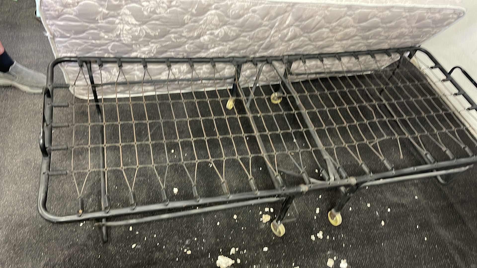 Photo 1 of TWIN SIZE FOLDABLE COT