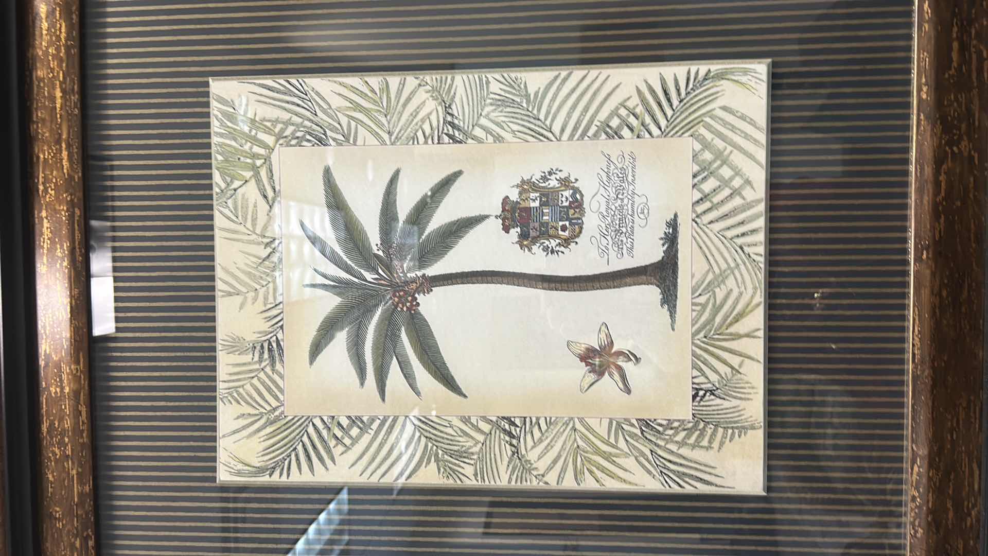 Photo 1 of ARTWORK ORNATE BRONZE AND BLACK FRAMED “PALM TREE” BY TOMMY BAHAMA ARTWORK 32” x 37”