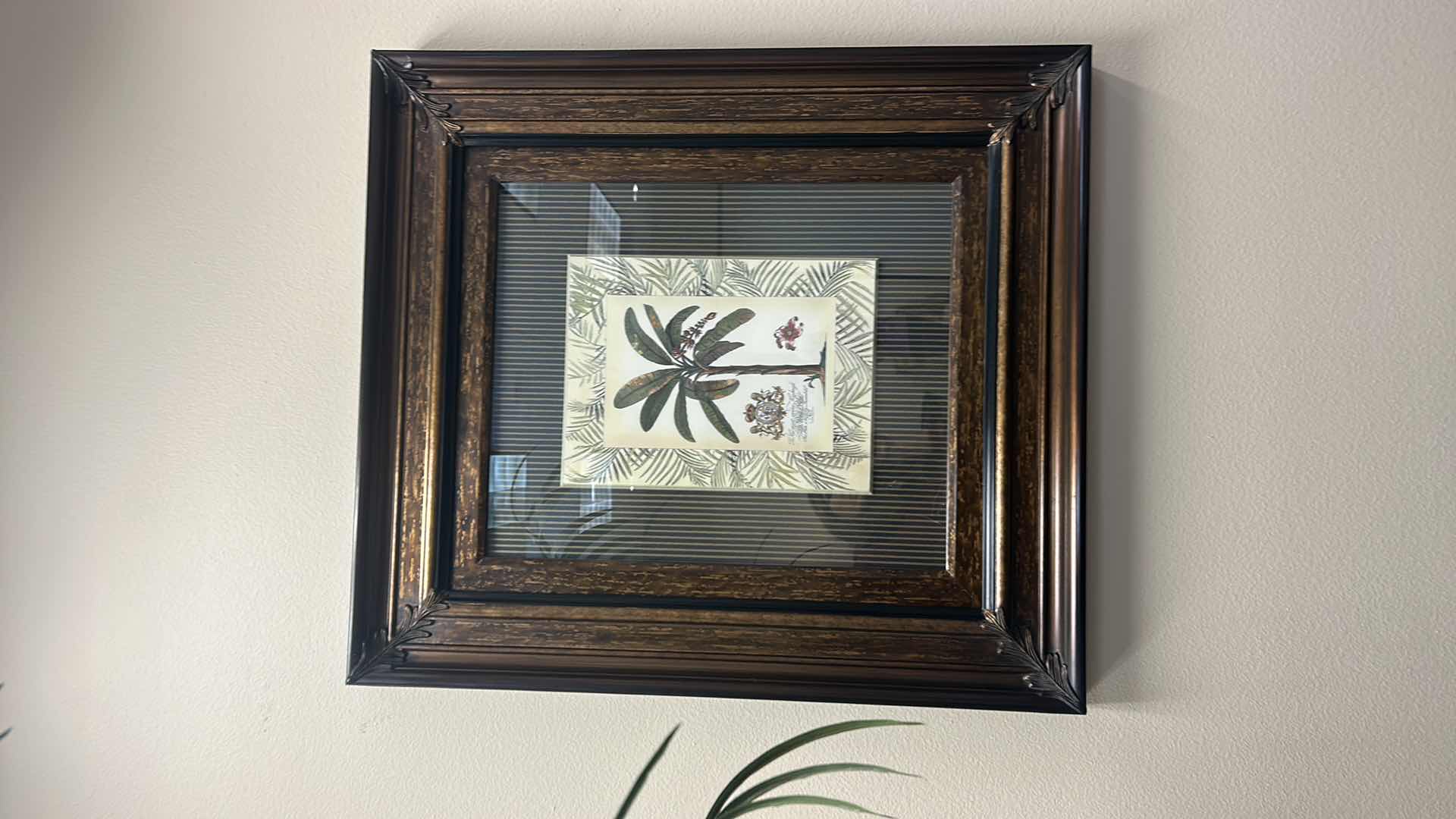 Photo 1 of ORNATE BRONZE AND BLACK FRAMED “ PALM TREE” BY TOMMY BAHAMA ARTWORK 32” x 37”