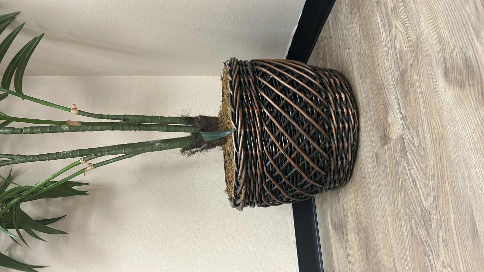 Photo 1 of TALL FAUX PALM TREE IN WICKER BASKET  22” x 8’