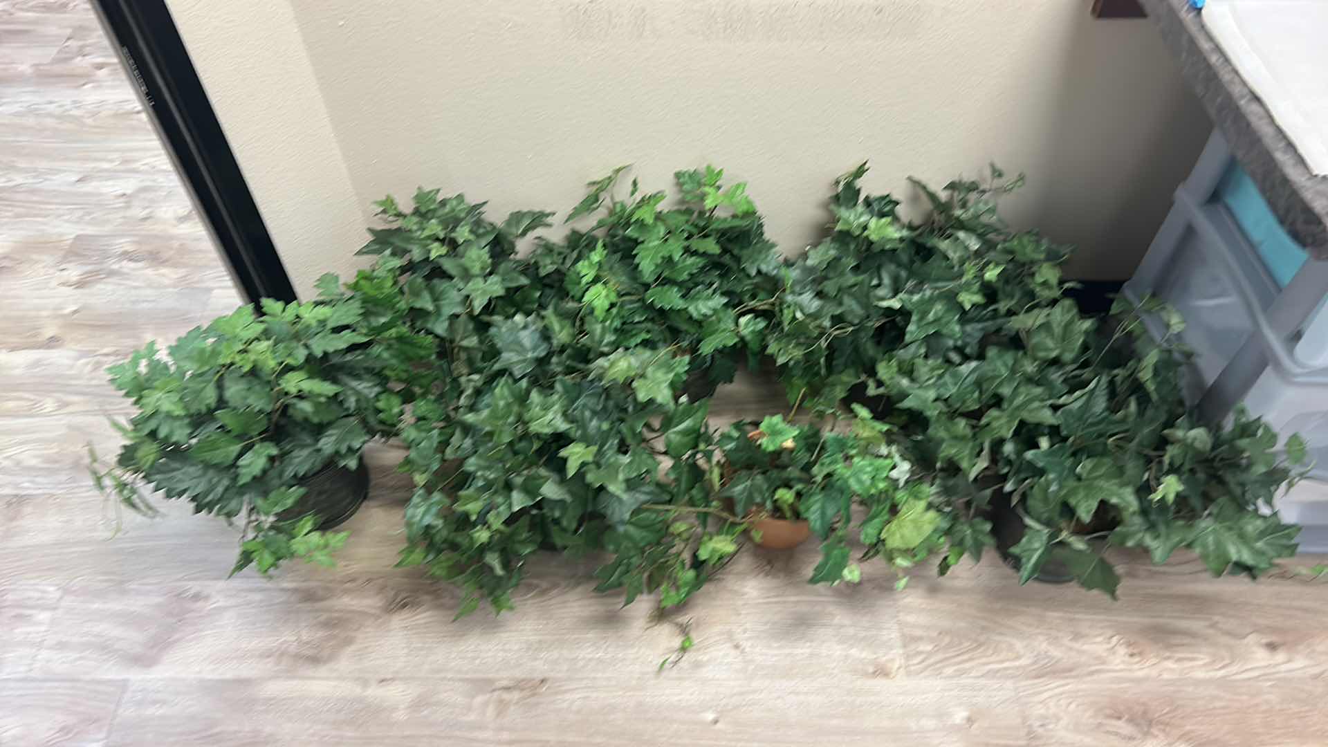 Photo 1 of 7 POTS WITH FAUX IVY