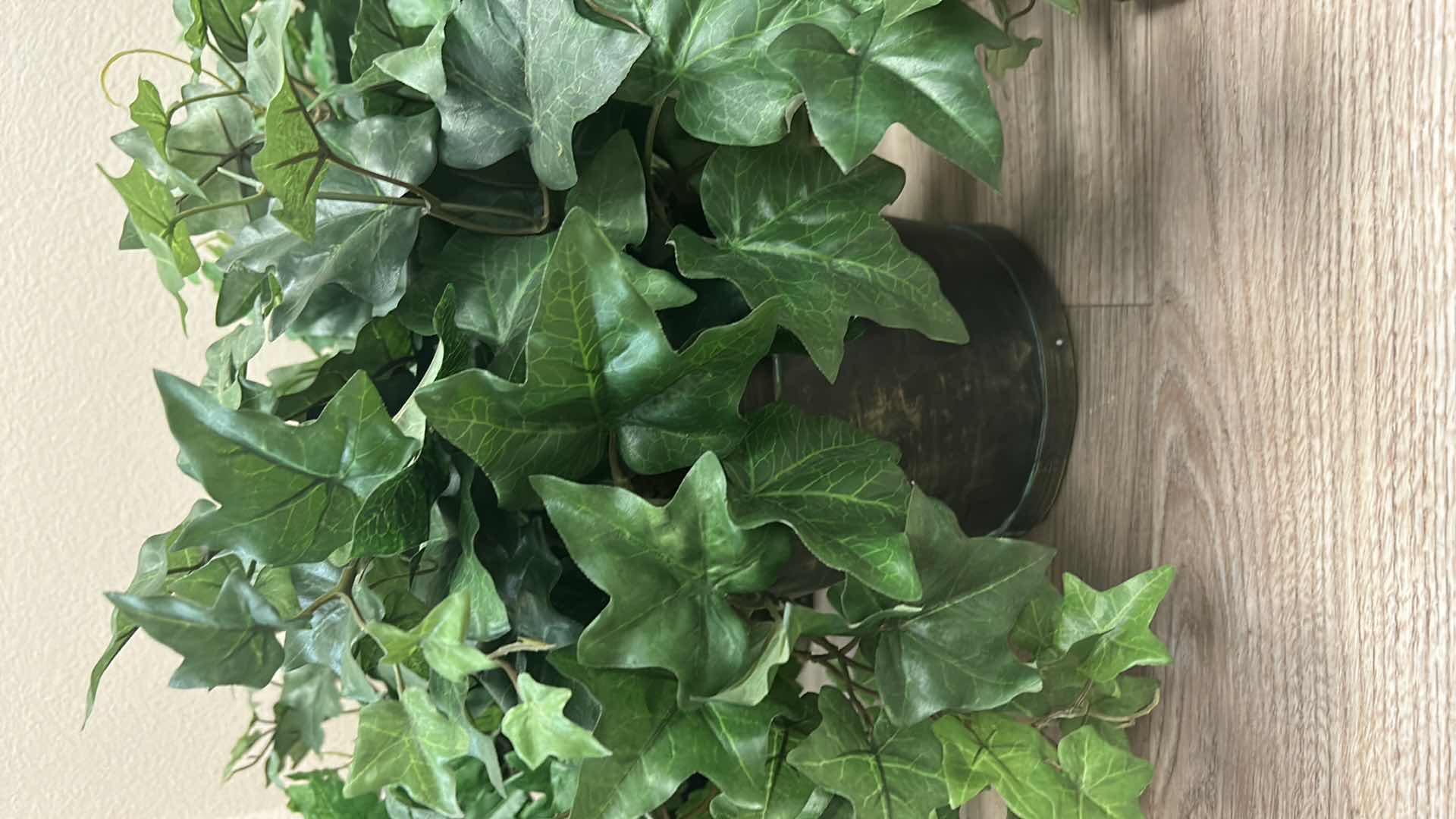 Photo 1 of 7 POTS WITH FAUX IVY