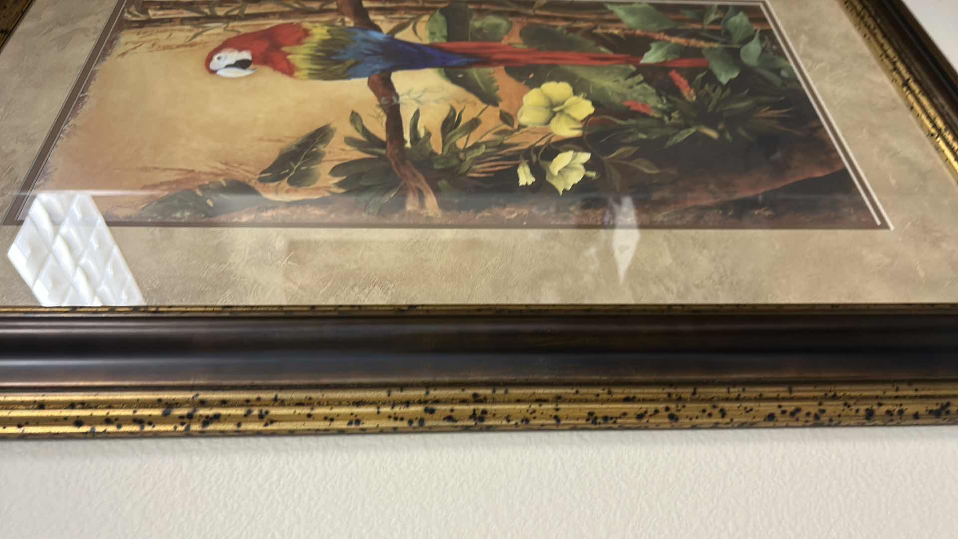 Photo 1 of WOOD FRAMED (PARROT TROPICAL) ARTWORK 24” x 36”