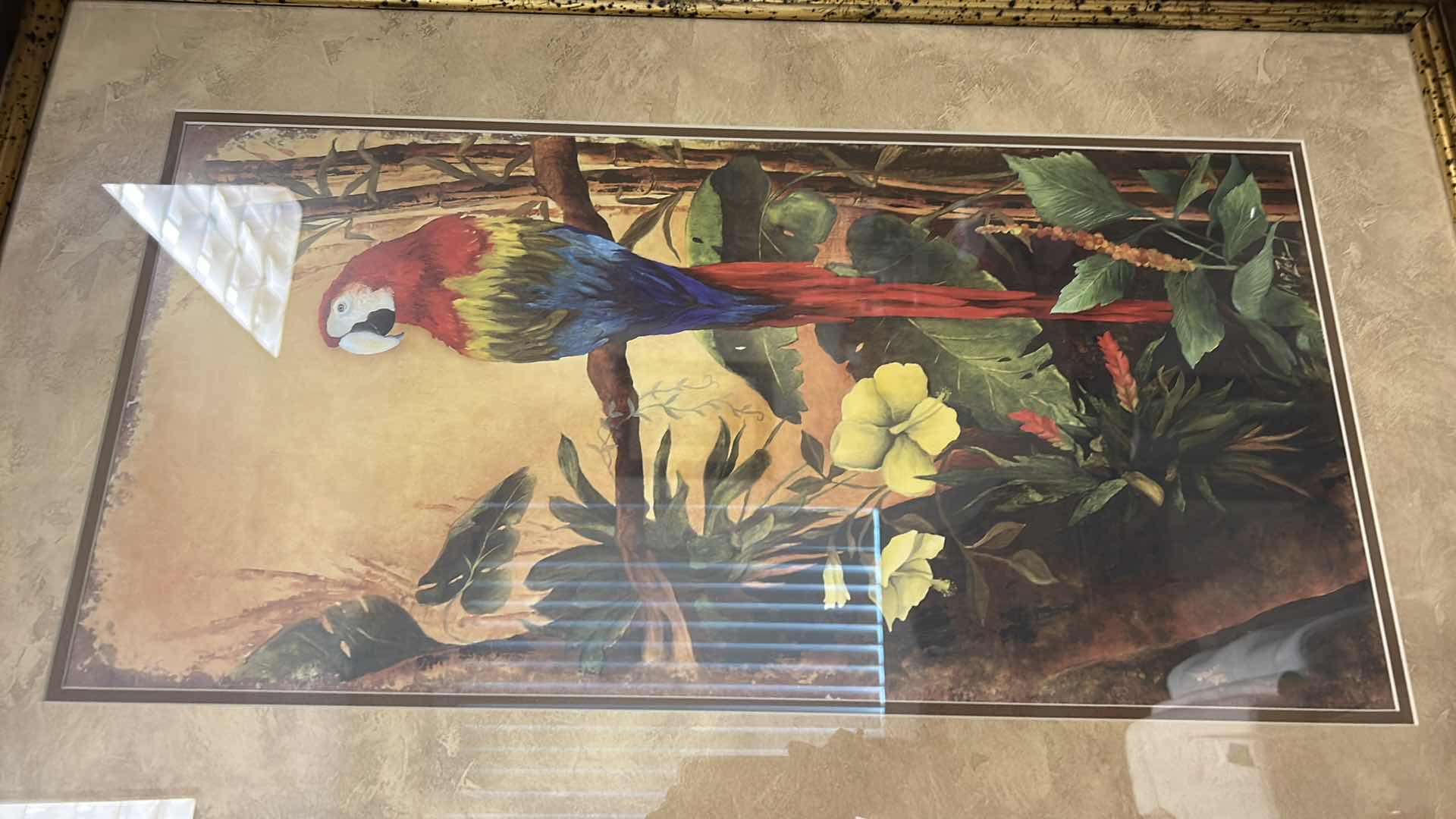 Photo 1 of WOOD FRAMED (PARROT TROPICAL) ARTWORK 24” x 36”