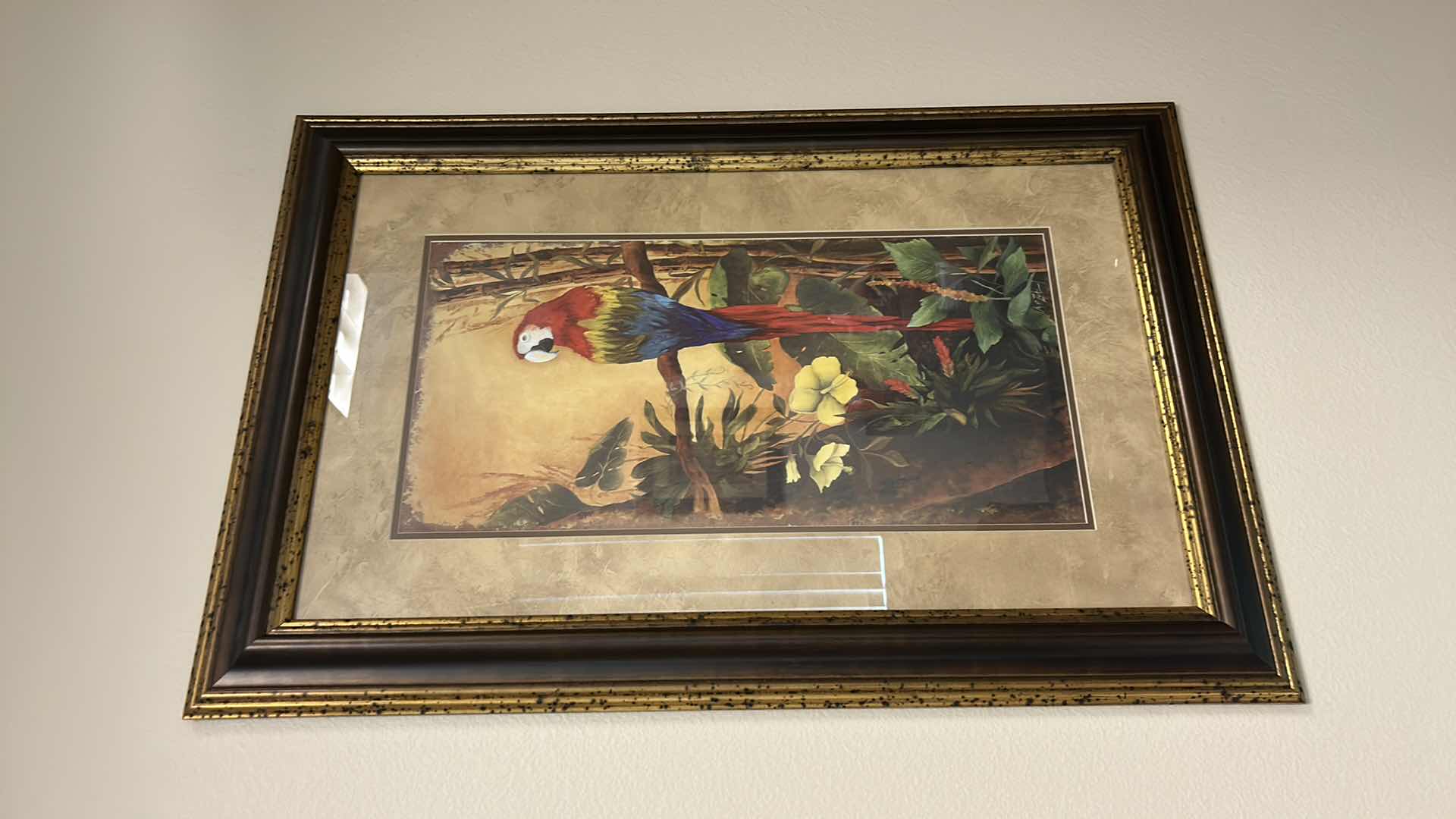 Photo 1 of WOOD FRAMED (PARROT TROPICAL) ARTWORK 24” x 36”