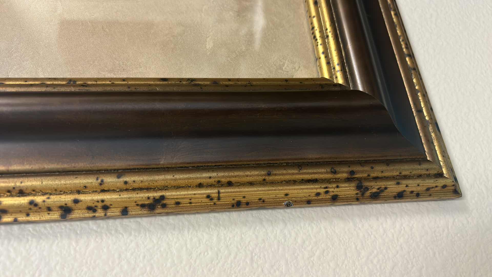 Photo 1 of WOOD FRAMED (PARROT TROPICAL) ARTWORK 24” x 36”