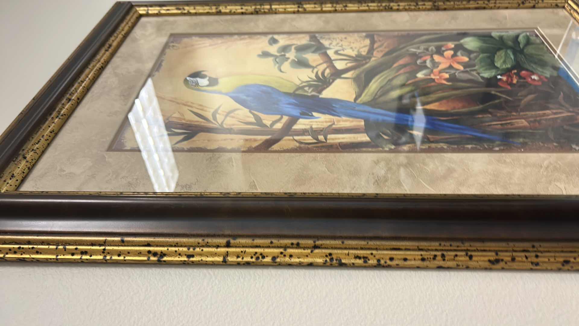 Photo 4 of WOOD FRAMED (PARROT TROPICAL) ARTWORK 24” x 36”