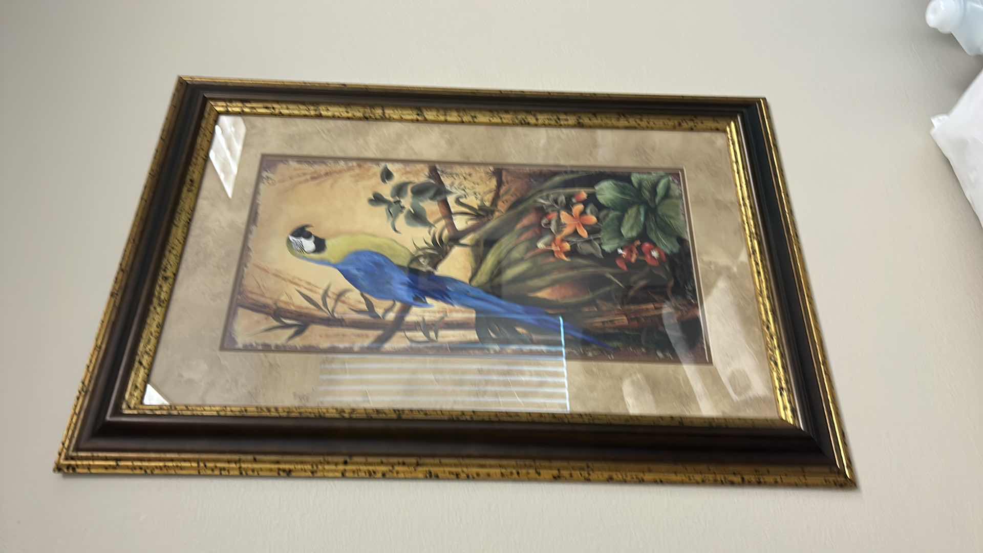 Photo 1 of WOOD FRAMED (PARROT TROPICAL) ARTWORK 24” x 36”