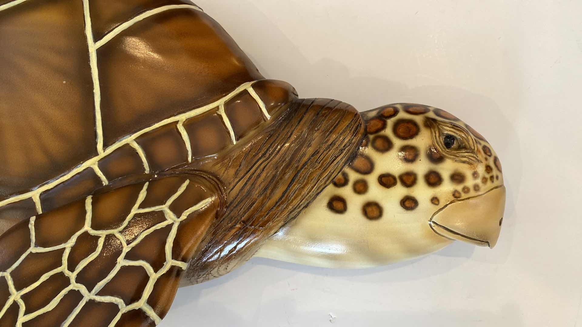 Photo 2 of LOGGERHEAD TURTLE SIGNED GREY PEZZON 32” X 13”