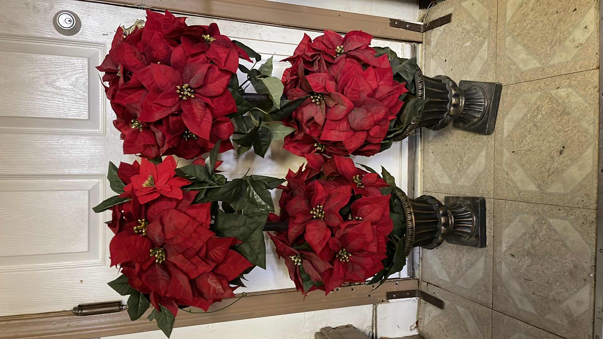 Photo 1 of POINTSETA PLANTS & MORE