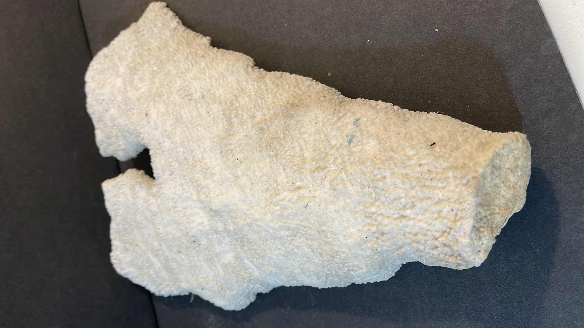 Photo 1 of VINTAGE NATURAL LARGE GENUINE WHITE CORAL H13” x W10”