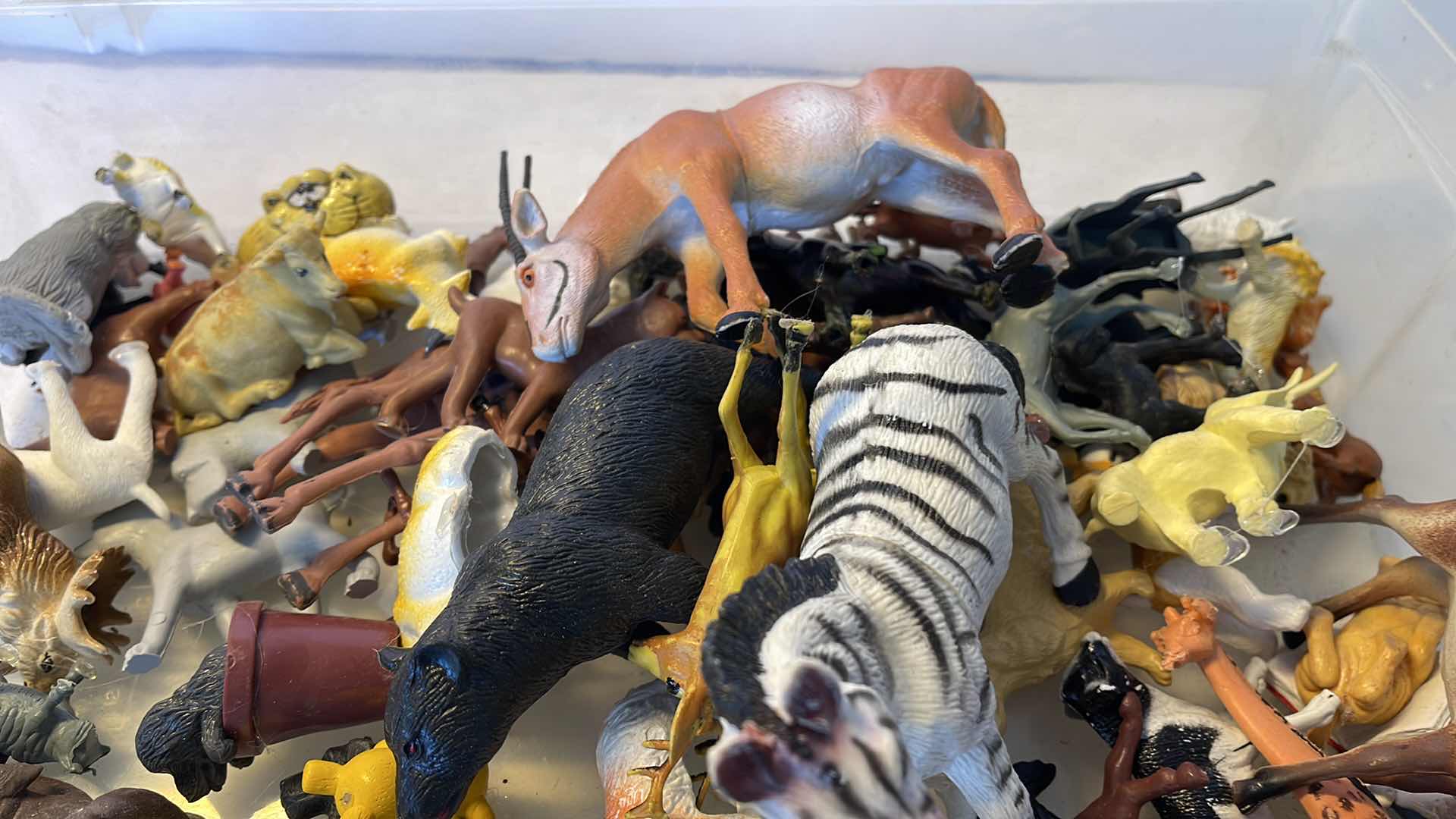 Photo 1 of CRAFTING ANIMALS 