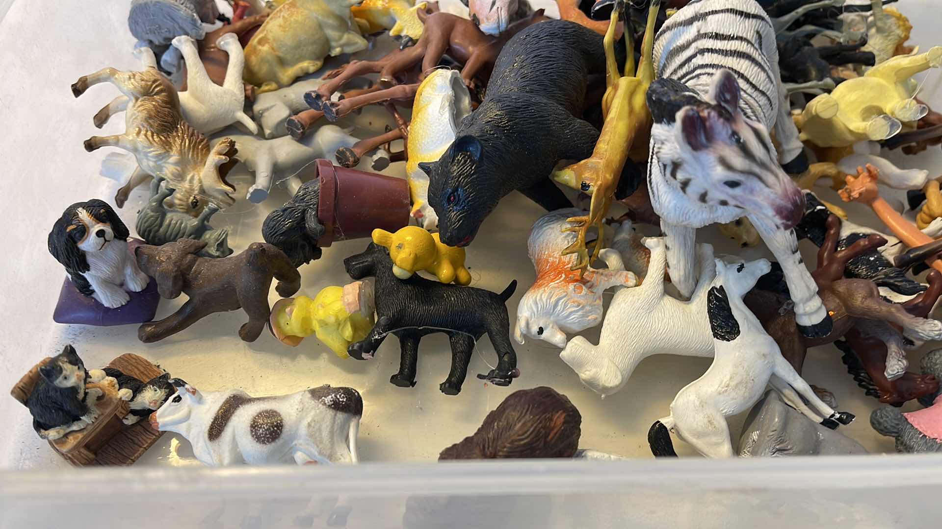 Photo 1 of CRAFTING ANIMALS 