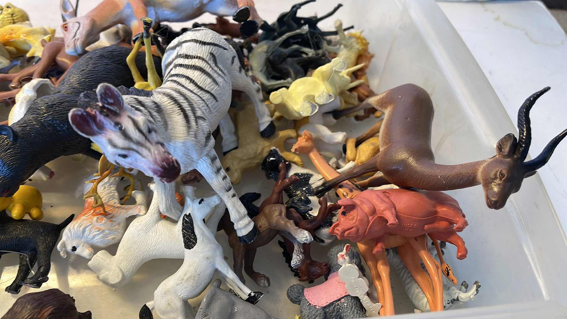 Photo 1 of CRAFTING ANIMALS 