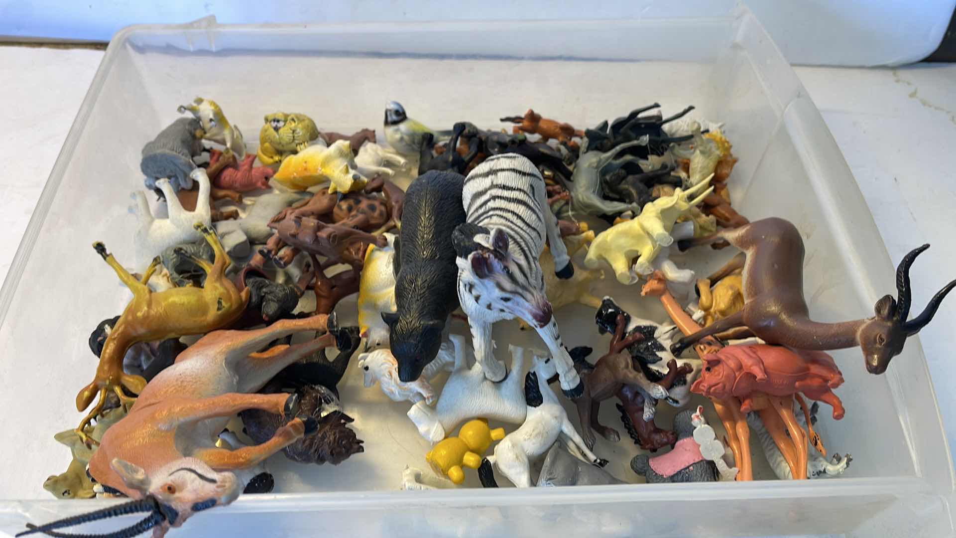 Photo 1 of CRAFTING ANIMALS 