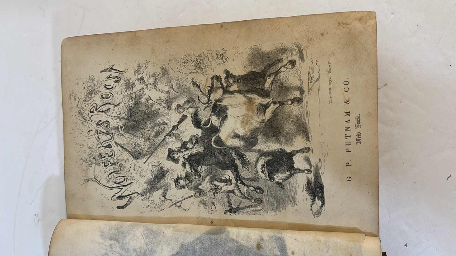 Photo 1 of 1855 ANTIQUE BOOK “ WOLFERTS ROOST”